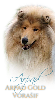 Arpad
