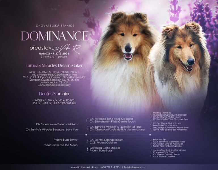 Vrh "R" Dominance