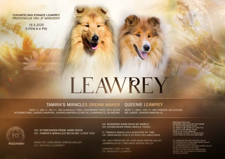 Vrh "R" Leawrey