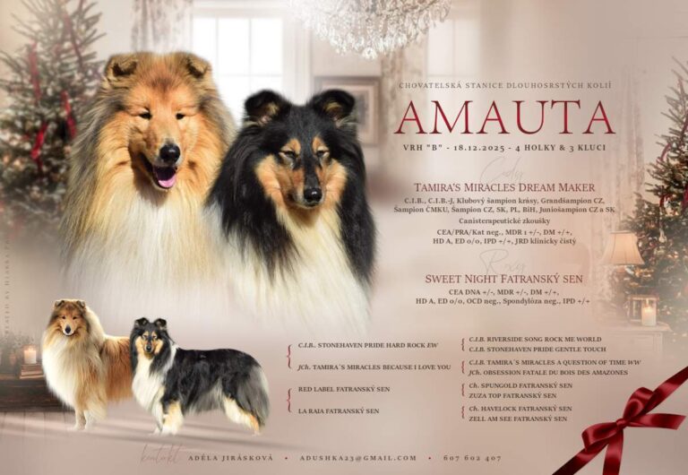 Vrh "B" Amauta