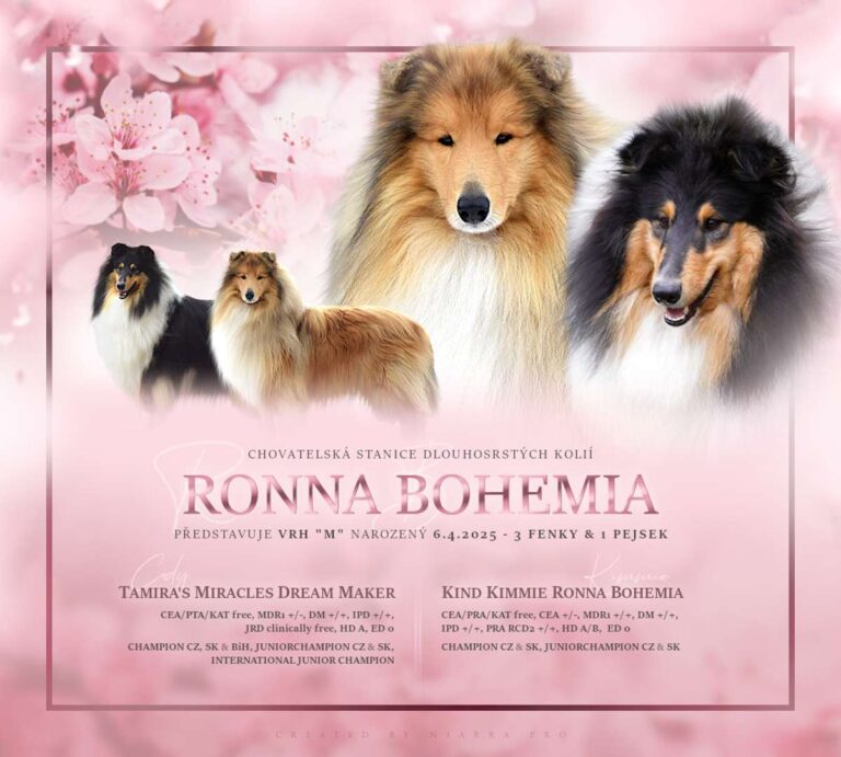 Vrh "M" Ronna Bohemia