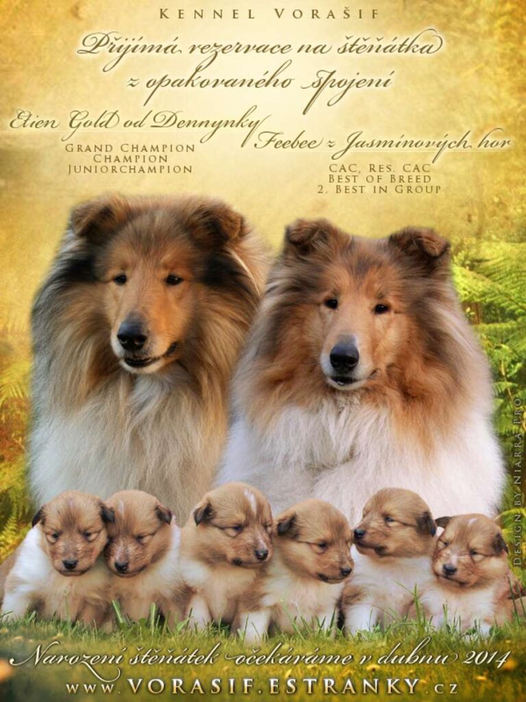 Vrh "B" Vorašif